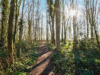 Vakantiehuis Welt Omgeving 30