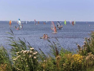 Chalet Harderwijk Environnement 34