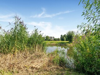 Villa Ermelo Grabación al aire libre 10