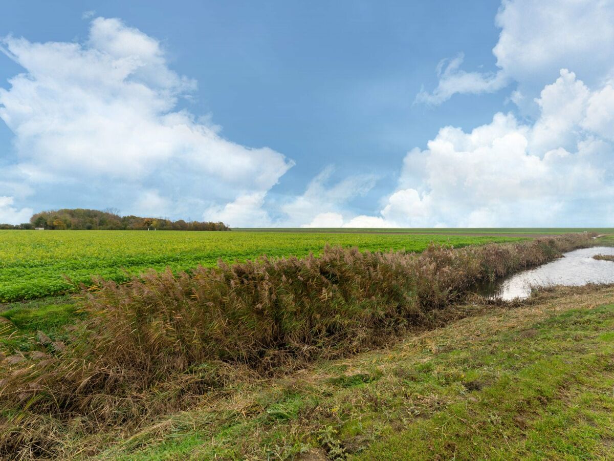 Casa de vacaciones Sint-Maartensdijk Grabación al aire libre 1