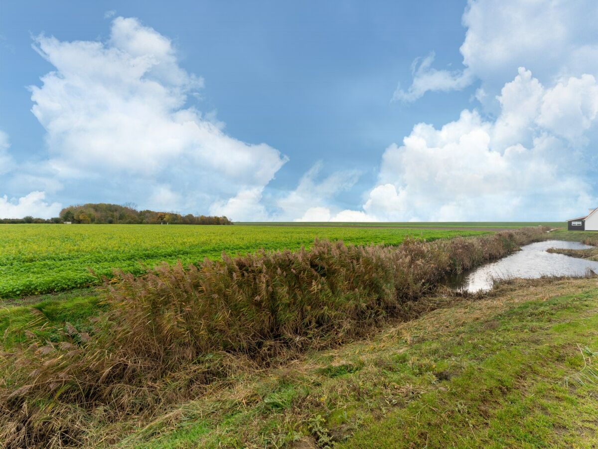 Ferienhaus Sint-Maartensdijk Außenaufnahme 10