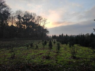 Holiday house Helenaveen Environment 34