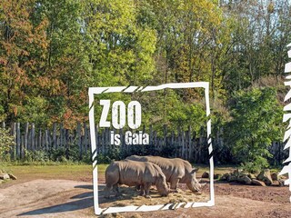 Bungalow Landgraaf Ambiente 32