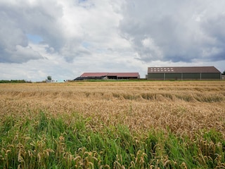 Bungalow Landgraaf Environment 33