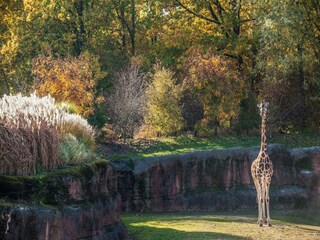 Bungalow Landgraaf Umgebung 29