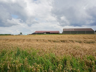 Bungalow Landgraaf Umgebung 33