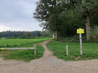 Vakantiehuis Braamt Omgeving 30