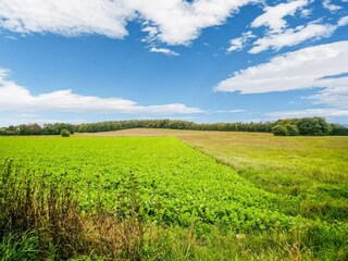 Ferienhaus Braamt Umgebung 29