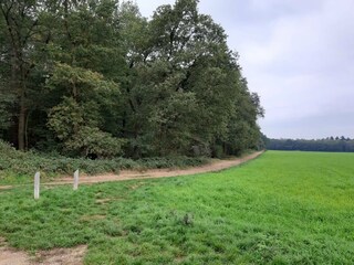 Vakantiehuis Braamt Omgeving 31