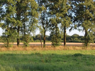 Farmhouse Bocholt Environment 34