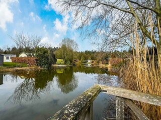 Chalet Rheezerveen Environment 32