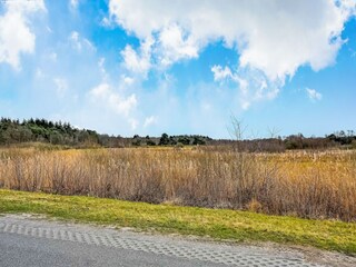 Chalet Rheezerveen Entorno 30