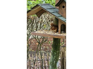 Chalet Rheezerveen  38