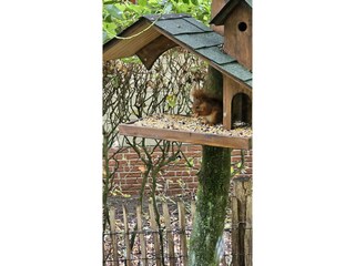 Chalet Rheezerveen  38