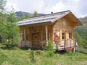 Berghütte Wallnerhuette - Rangersdorf - image1