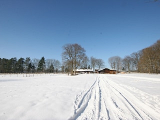 Toben im Schnee