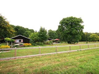 ..viel Platz für die Hunde