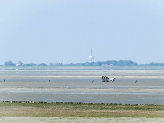 Ferienwohnung Duhnen  12