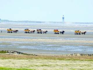 Ferienwohnung Duhnen  17