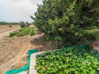 Villa Can Picafort Buitenaudio-opname 20