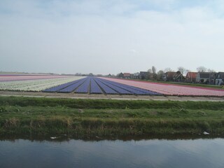 Casa per le vacanze Julianadorp Ambiente 18