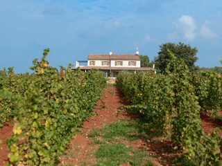 Villa Umag Registrazione all'aperto 9