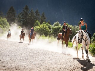 Casa per le vacanze Mayrhofen Ambiente 13