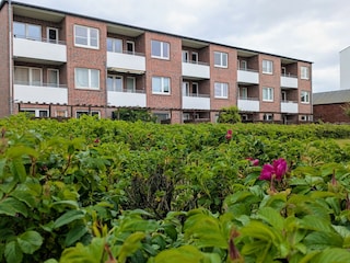 Ferienwohnung Wangerooge Außenaufnahme 2