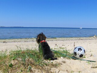 Das "blaue" Meer am Beckerwitzer Strand