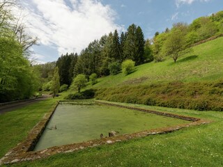 Ferienhaus Vresse-sur-Semois Außenaufnahme 7