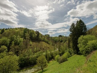 Vakantiehuis Vresse-sur-Semois Omgeving 38