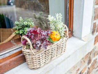 Vakantiehuis Spa  39