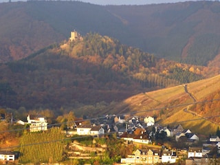 Alf und Burg Arras