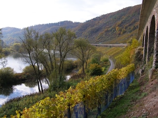 Viadukt bei Pünderich