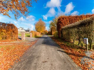 Vakantiehuis Robertville Omgeving 36