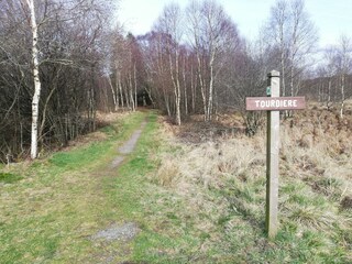 Ferienhaus Robertville Umgebung 37