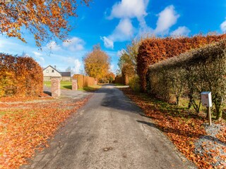 Vakantiehuis Robertville Omgeving 35