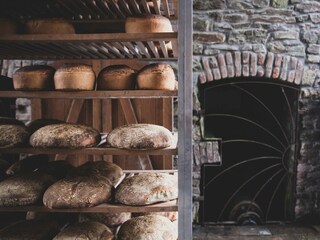 Maison de vacances Gedinne  37