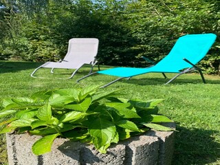 Casa per le vacanze Barvaux-sur-Ourthe Registrazione all'aperto 1