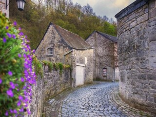 Maison de vacances Durbuy Environnement 36