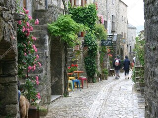 Maison de vacances Durbuy Environnement 39