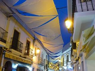 Appartamento Nerja Ambiente 43