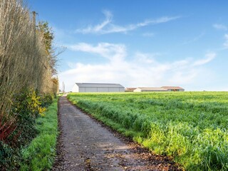 Vakantiehuis Torhout Omgeving 38