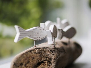 Appartamento per vacanze Egmond aan Zee Caratteristiche 13