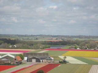Appartamento per vacanze Egmond aan Zee Ambiente 19
