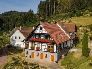 Ferienwohnung Steinhof - Oberkirch - image1