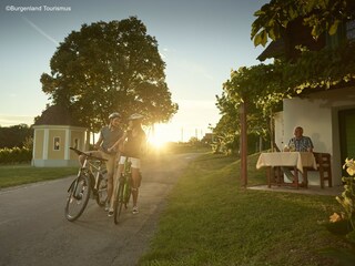 Appartement Lutzmannsburg Omgeving 16