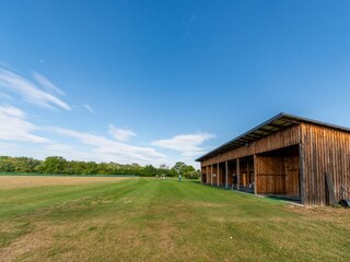 Appartement Lutzmannsburg  24