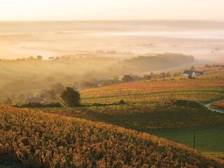 Appartement Lutzmannsburg Environnement 19