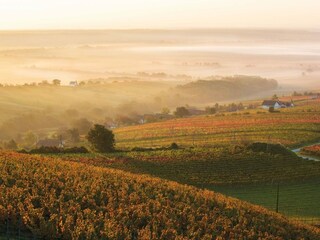 Apartment Lutzmannsburg Environment 20